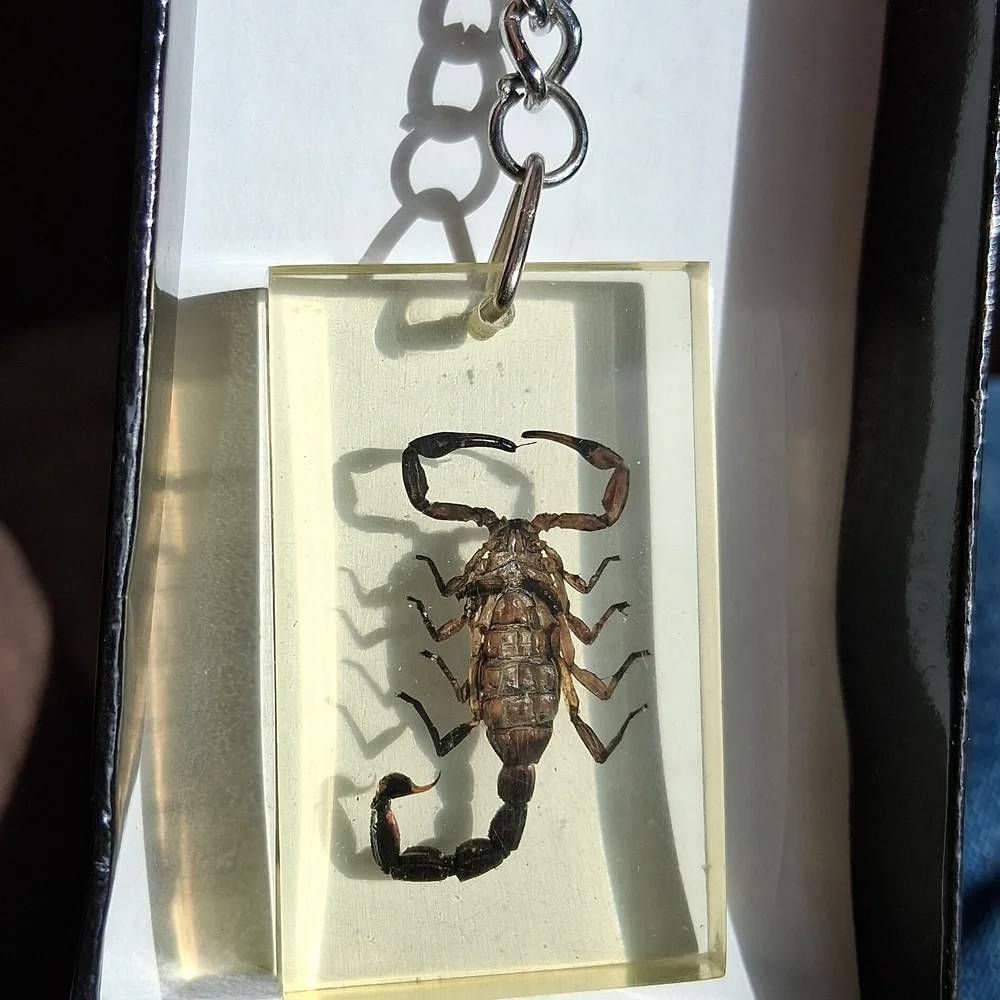 Scorpion Key Ring - Picture 3 of 4